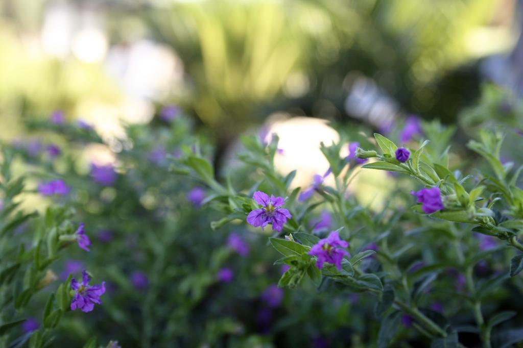 Pozzillo San Rocco Bed & Breakfast Arnesano ภายนอก รูปภาพ